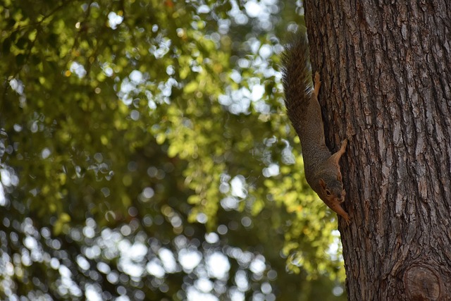还极大地拉 还极大地拉