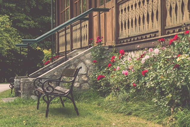 一个成功的 一个成功的